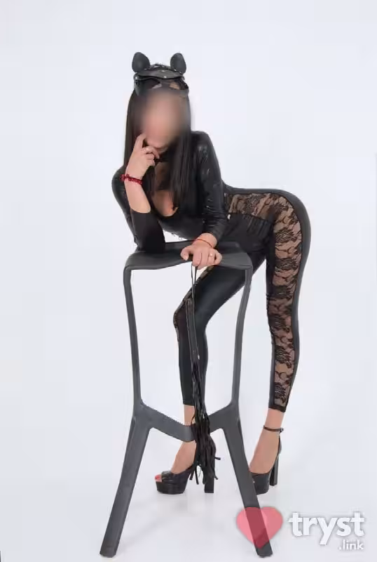 Escort/Massage Sofia in Wheeling, IL